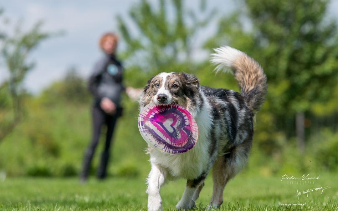 Inloggen via Planwise